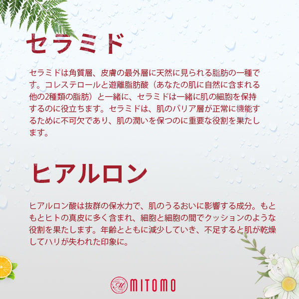 Mitomo Japan EGF Elasticity Care Facial Essence Mask 36 PCS/Pack MT101-E-0